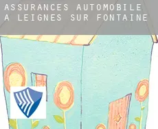 Assurances automobile à Leignes-sur-Fontaine