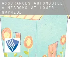Assurances automobile à  Meadows at Lower Gwynedd
