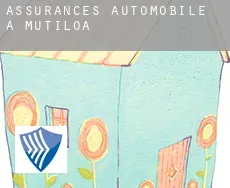 Assurances automobile à  Mutiloa