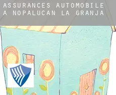 Assurances automobile à  Nopalucan de la Granja
