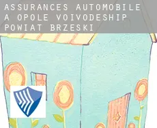 Assurances automobile à Powiat brzeski (Opole Voivodeship)