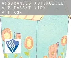 Assurances automobile à  Pleasant View Village