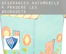 Assurances automobile à Pradère-les-Bourguets