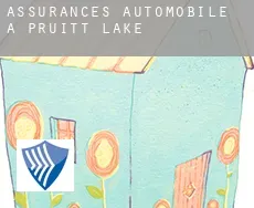 Assurances automobile à  Pruitt Lake