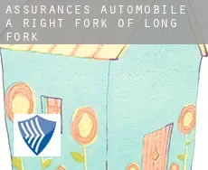 Assurances automobile à  Right Fork of Long Fork