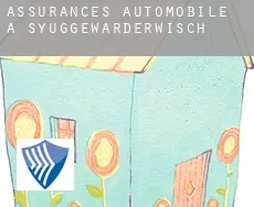 Assurances automobile à  Syuggewarderwisch