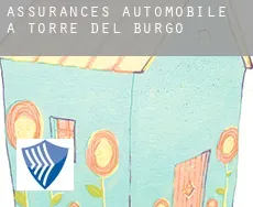 Assurances automobile à Torre del Burgo