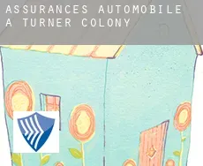 Assurances automobile à Turner Colony