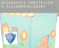 Assurances habitation à  Kleinmangelsdorf