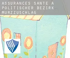 Assurances santé à  Politischer Bezirk Mürzzuschlag
