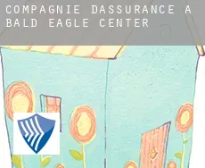 Compagnie d'assurance à  Bald Eagle Center
