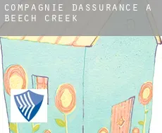 Compagnie d'assurance à  Beech Creek