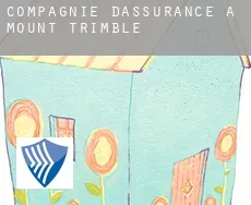 Compagnie d'assurance à Mount Trimble