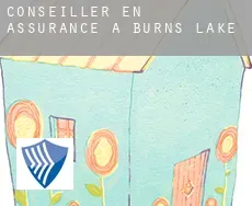 Conseiller en assurance à  Burns Lake