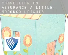 Conseiller en assurance à  Little Morongo Heights