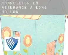 Conseiller en assurance à Long Hollow