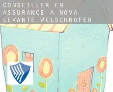 Conseiller en assurance à Nova Levante