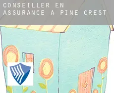 Conseiller en assurance à  Pine Crest