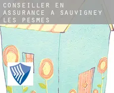 Conseiller en assurance à Sauvigney-lès-Pesmes