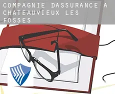 Compagnie d'assurance à  Châteauvieux-les-Fossés