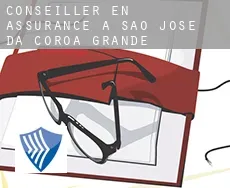 Conseiller en assurance à  São José da Coroa Grande