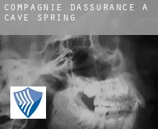 Compagnie d'assurance à  Cave Spring