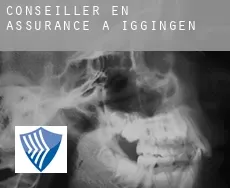 Conseiller en assurance à  Iggingen