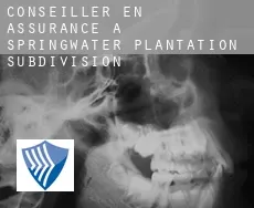 Conseiller en assurance à  Springwater Plantation Subdivision