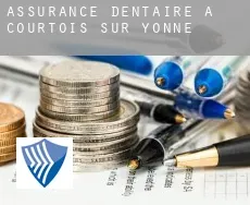 Assurance dentaire à Courtois-sur-Yonne