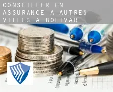 Conseiller en assurance à Autres Villes à Bolivar