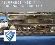 Assurance vie à  Ledesma de la Cogolla