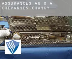 Assurances auto à Chevannes-Changy