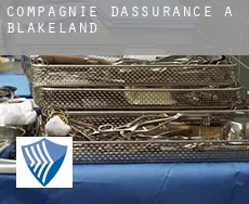 Compagnie d'assurance à  Blakeland