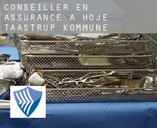Conseiller en assurance à Høje-Taastrup Kommune
